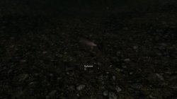 eHUDlachs.jpg eHUDlachs.jpg