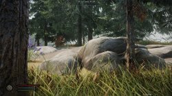 SKYRIM~3.jpg SKYRIM~3.jpg