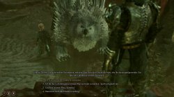 bg3-39.jpg bg3-39.jpg