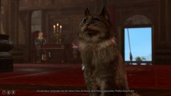 bg3-51.jpg bg3-51.jpg