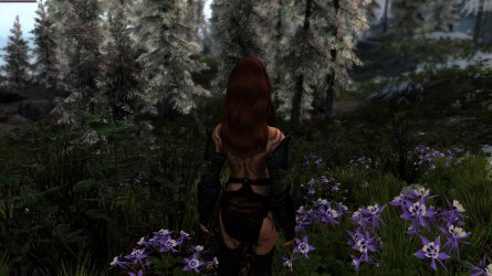 SkyrimSE-2025-04-05-18-56-03-511.jpg