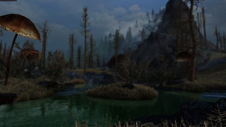 SkyrimSE-2025-04-30-17-42-23-299.jpg