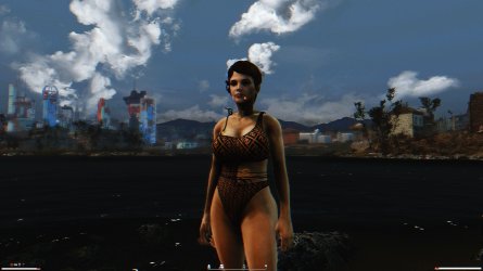 Fallout4-2025-09-01-20-45-17-213.jpg