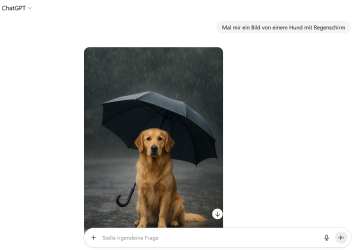 1758538846419.png 1758538846419.png