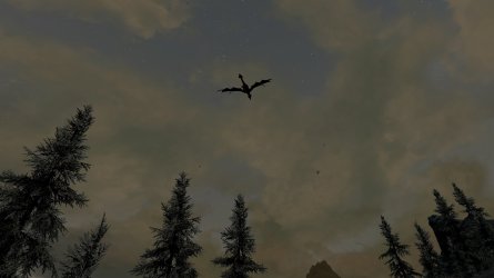 MD_Odahving fliegt nach Hause.jpg
