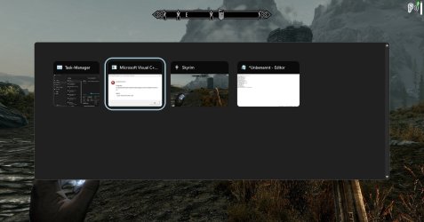 SkyrimLE_-_MS_VisualC-Error-Freeze.jpg