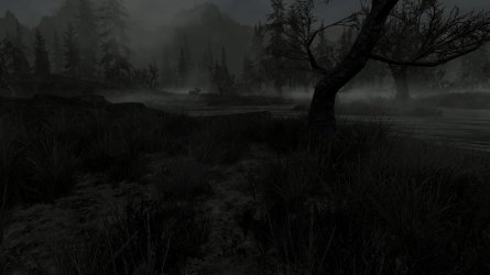 FC_Stilbild_Morthalsumpf1.jpg