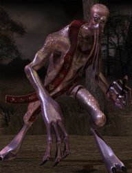 38153-1-1373670013.jpg 38153-1-1373670013.jpg