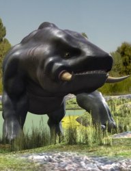 38153-5-1373670014.jpg 38153-5-1373670014.jpg