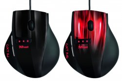 trust_up_b.jpg trust_up_b.jpg