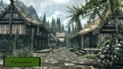 Flusswald.jpg Flusswald.jpg