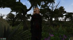 MGE Screenshot 008.jpg MGE Screenshot 008.jpg