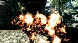 52227-5-1395217392.jpg 52227-5-1395217392.jpg