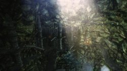 2014-06-07_00018.jpg 2014-06-07_00018.jpg