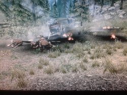 2014-07-10 15.51.11.jpg 2014-07-10 15.51.11.jpg