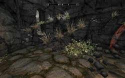 2014-07-26_00002.jpg 2014-07-26_00002.jpg