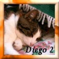 Diego 2