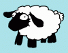 Sheep007