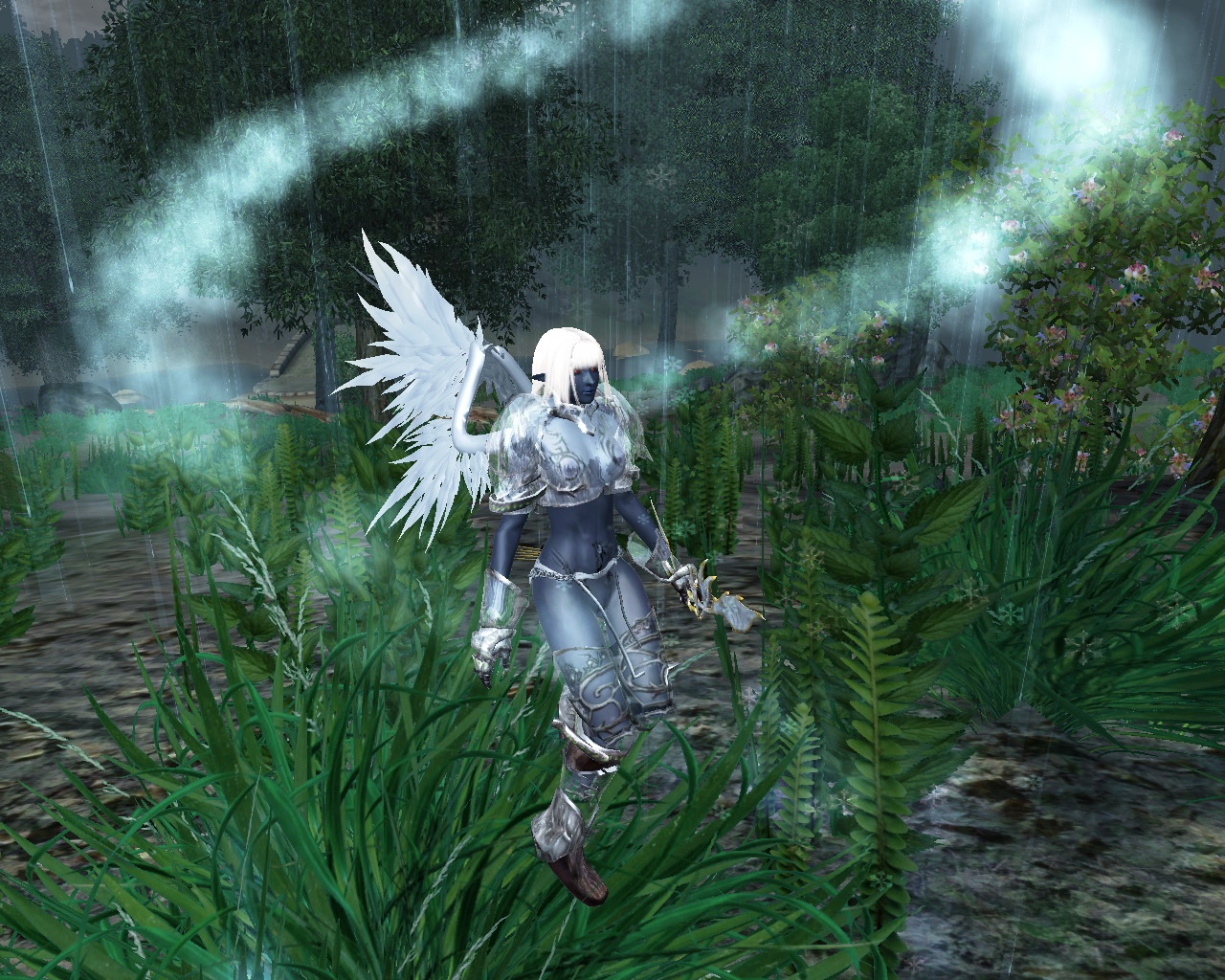 Bandicam 2019-11-30 15-03-28-248