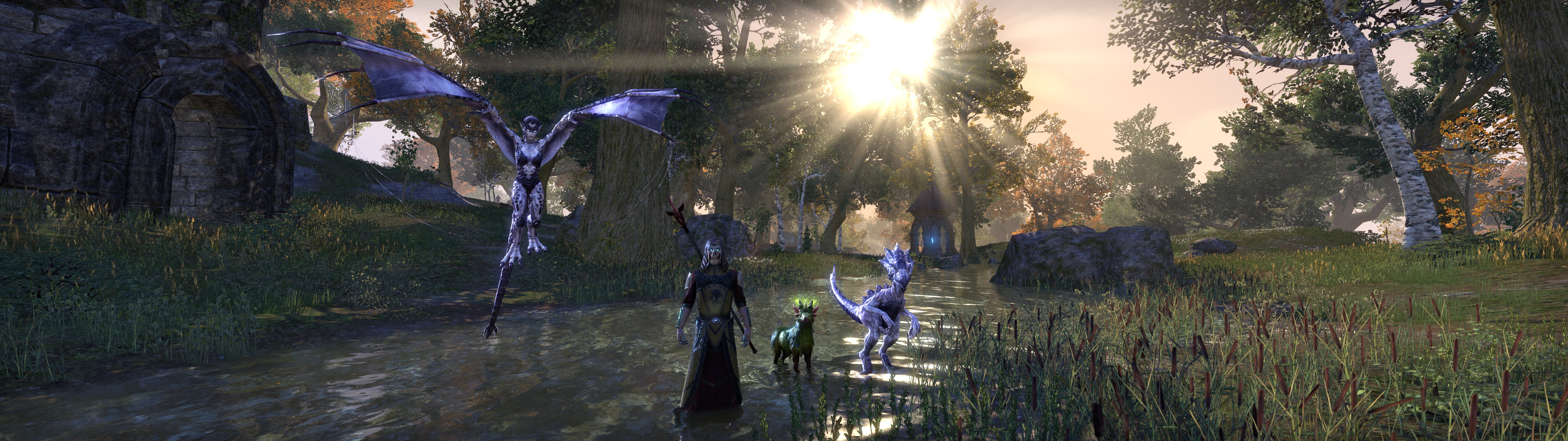 ESO_Raistlin_Charakter