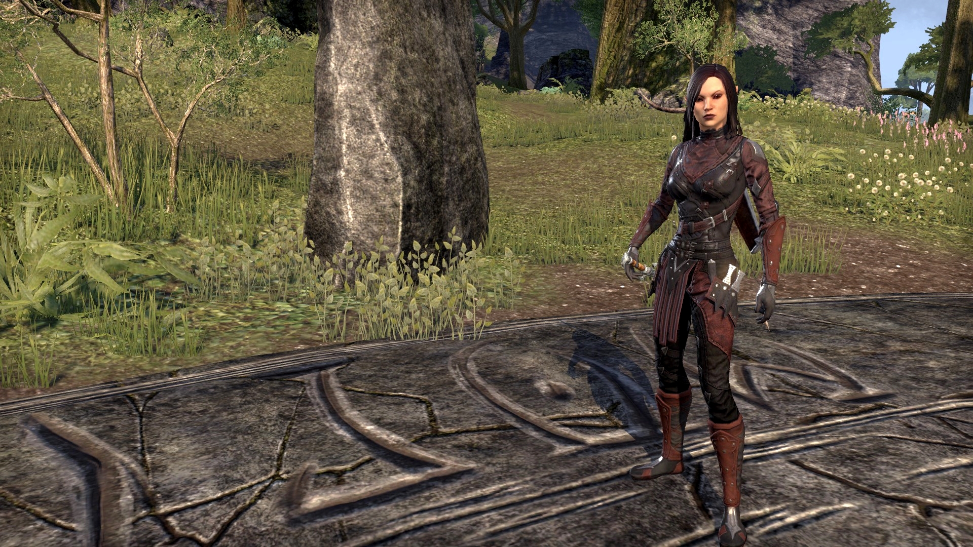 ESO_Samiaelyn_Charakter_jpg