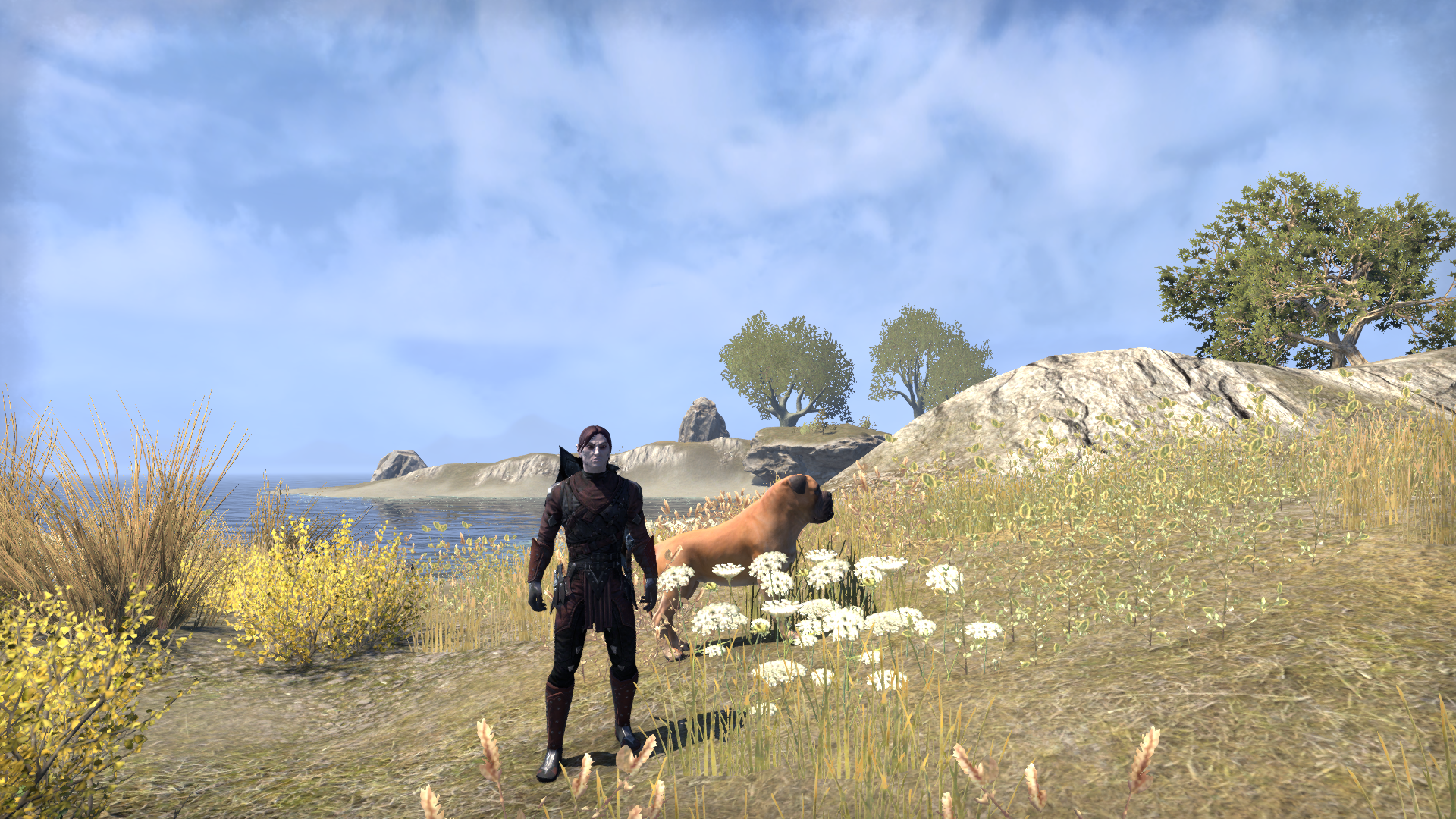 Eso_Sarius_Ganzer Charakter