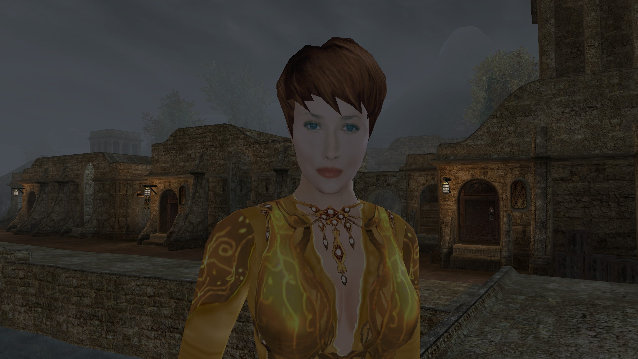 Morrowind, Elyza, Portrait