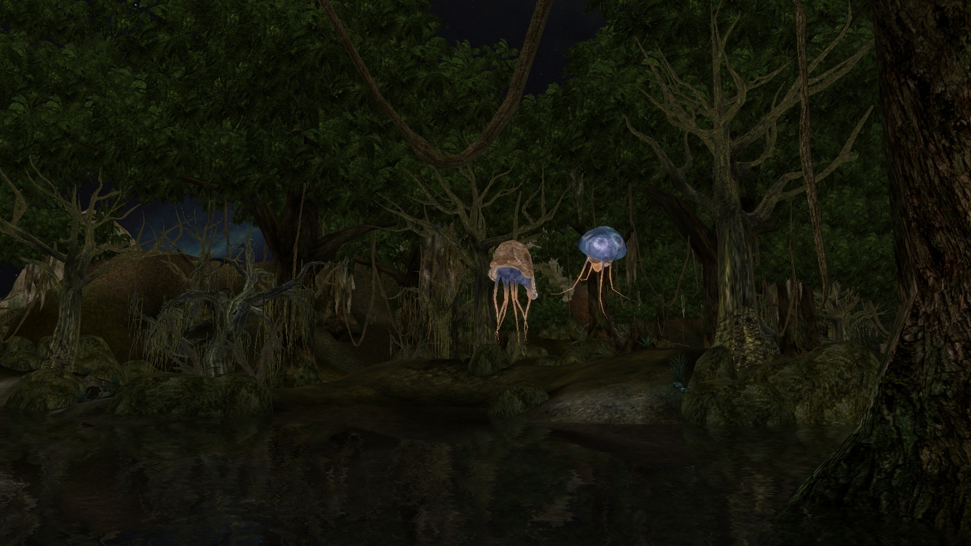 Morrowind_01_Natur