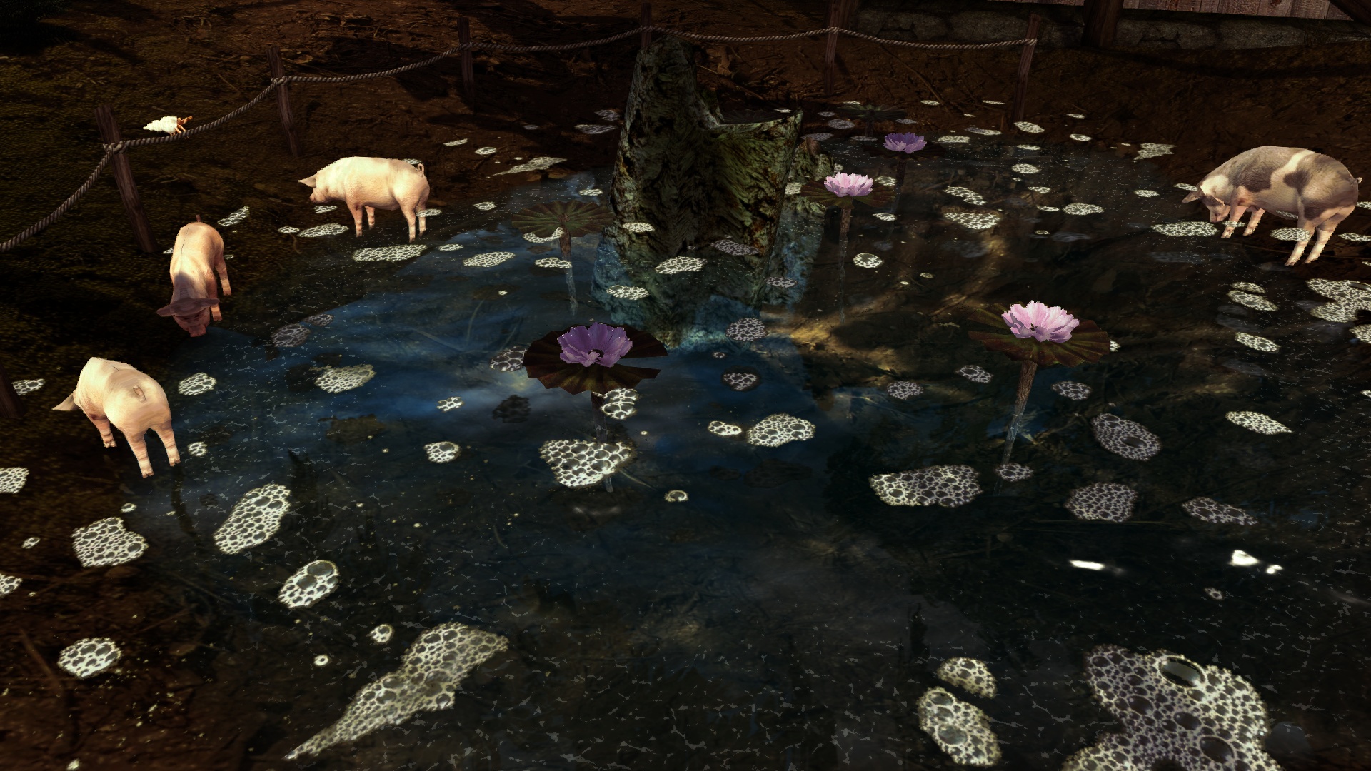 Morrowind_06_Natur