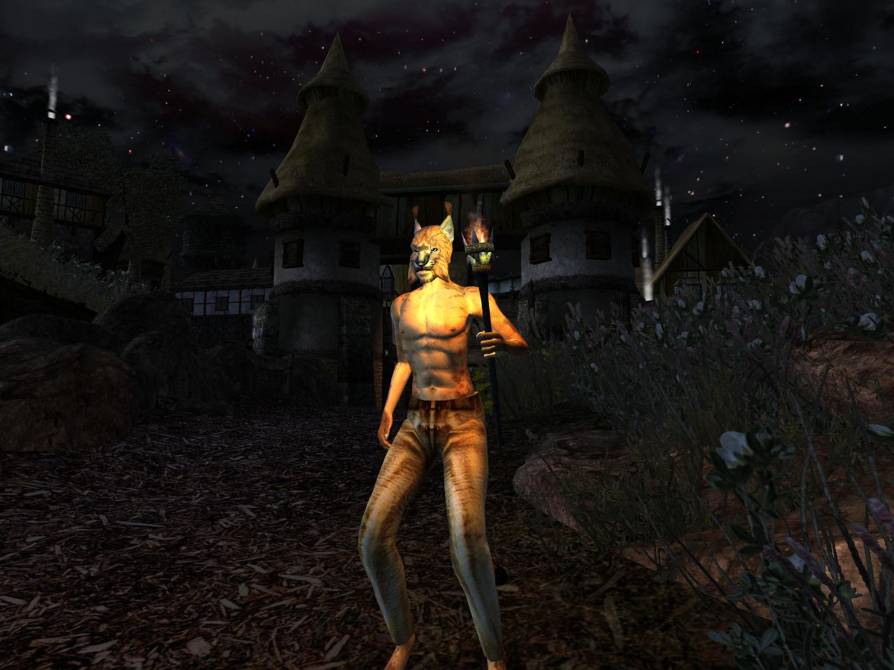 Morrowind_Charakter_5