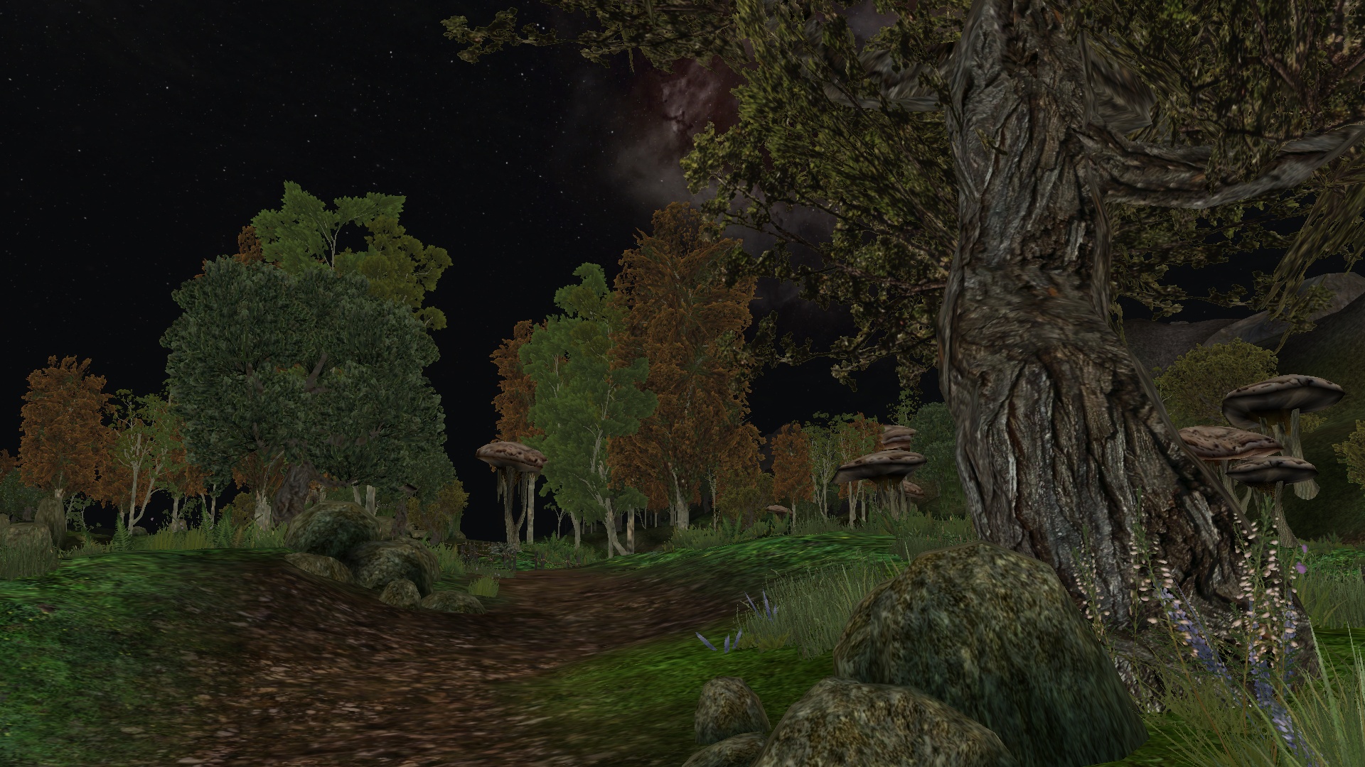 Morrowind_Natur