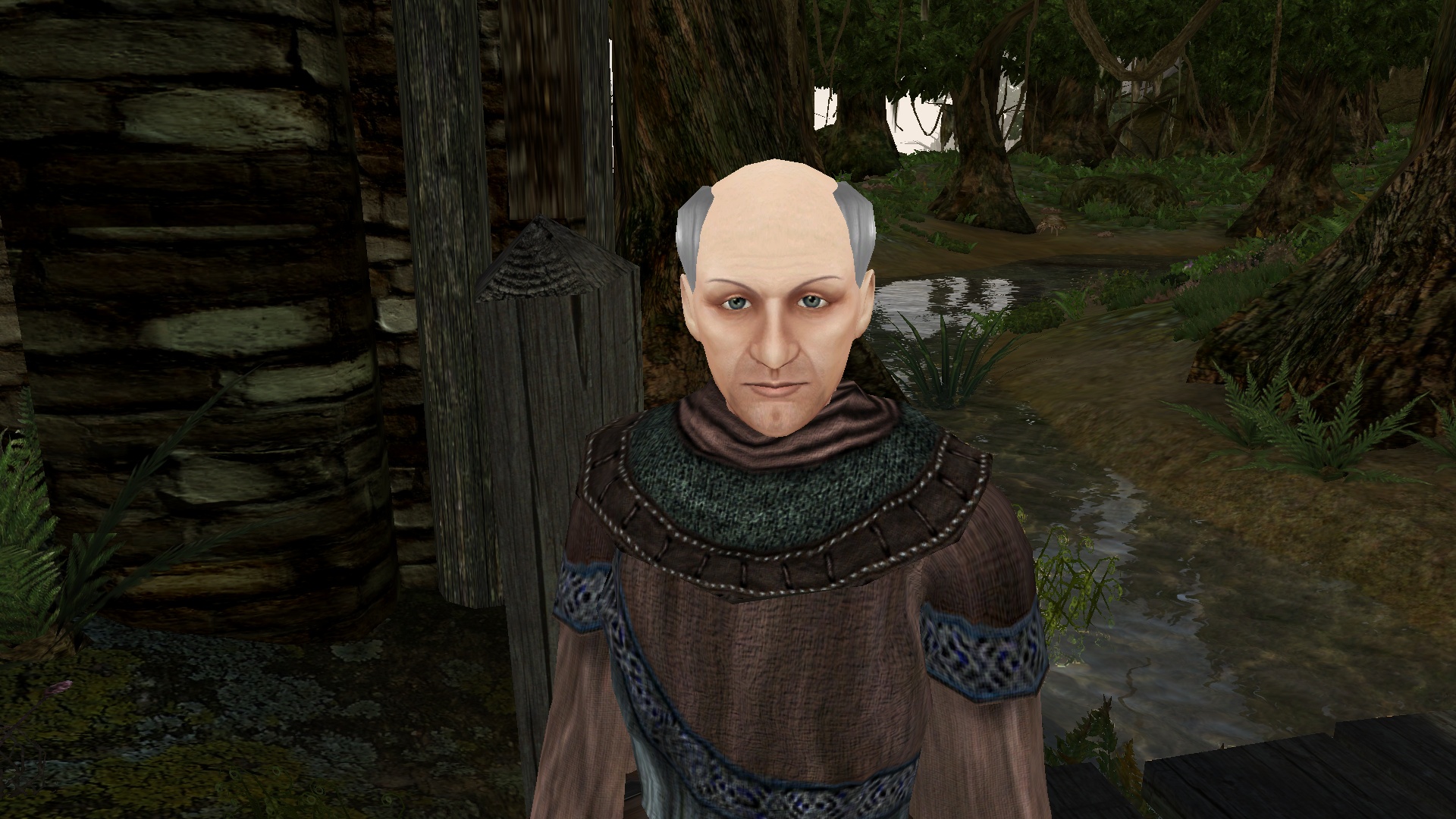 Morrowind_Paul_Portrait