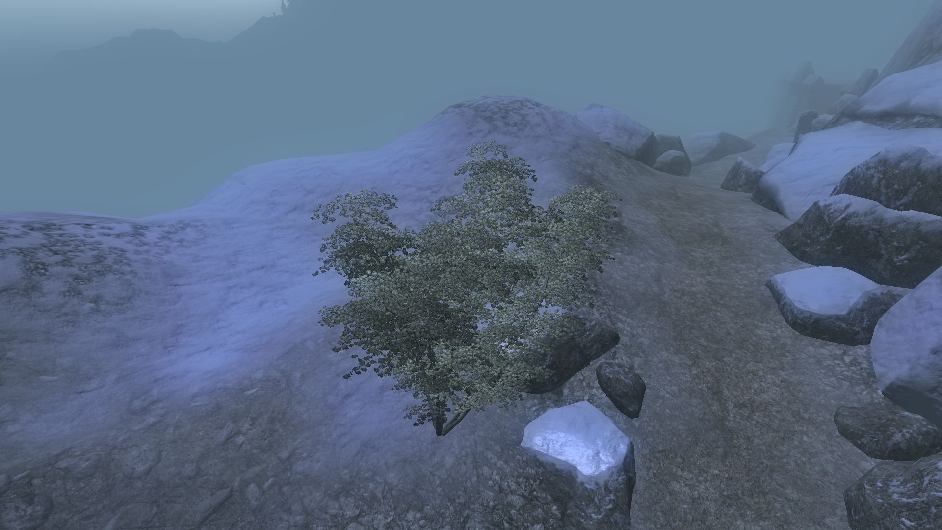 Oblivion_05_Landschaft