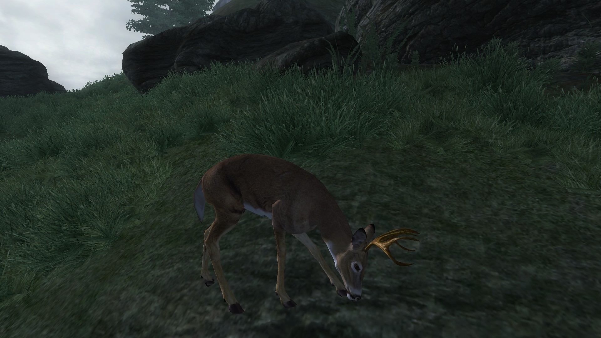 Oblivion_05_Tierwelt