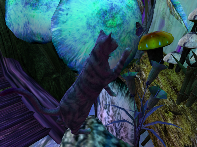 Screenshotwettbewerb 2009 - MW - Tierwelt - 1. Rammelhuhn