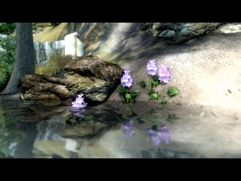 Screenshotwettbewerb 2010 - OBL - Flora Und Fauna - 1. Licht