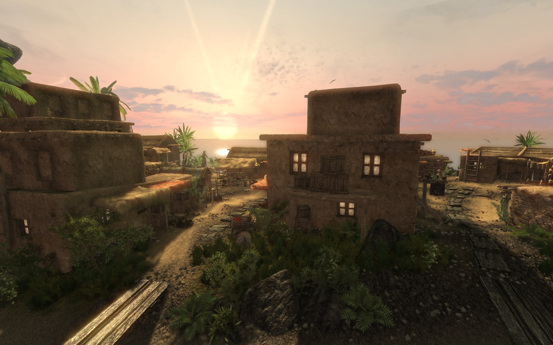 Silberhain der ewige Sonnenuntergang