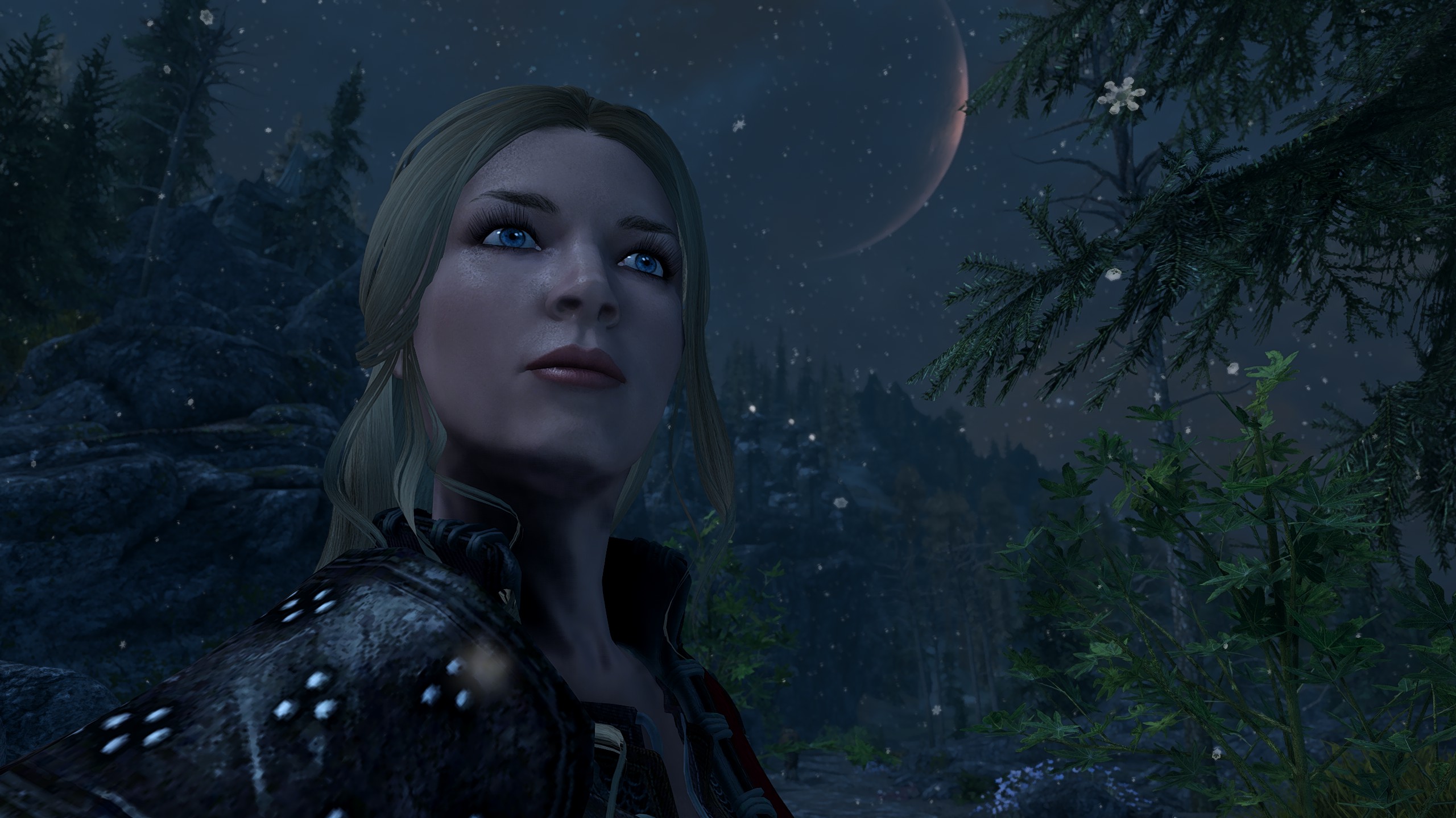 Skyrim, Fragya, Portrait