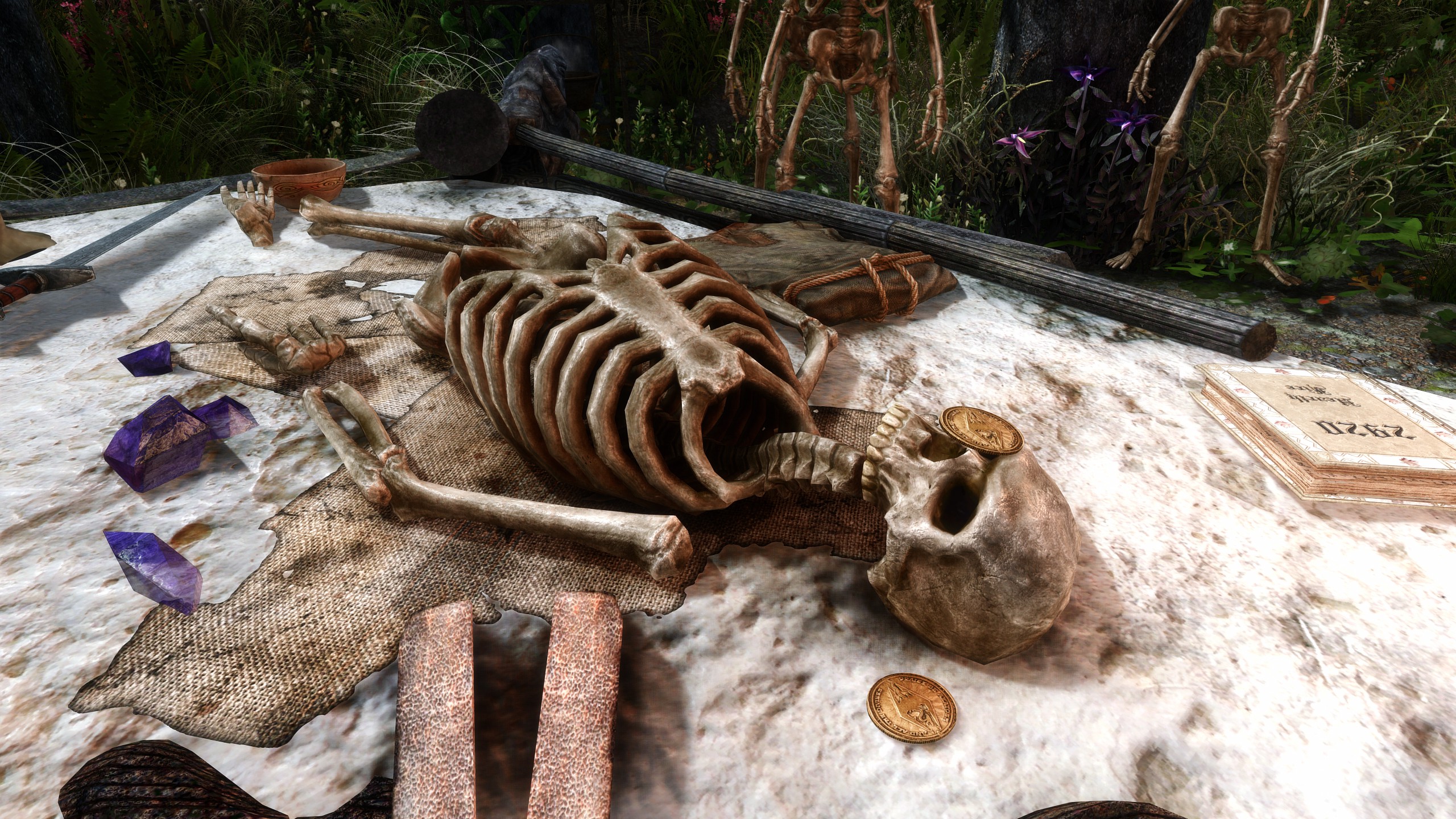 Skyrim_01_Stillleben