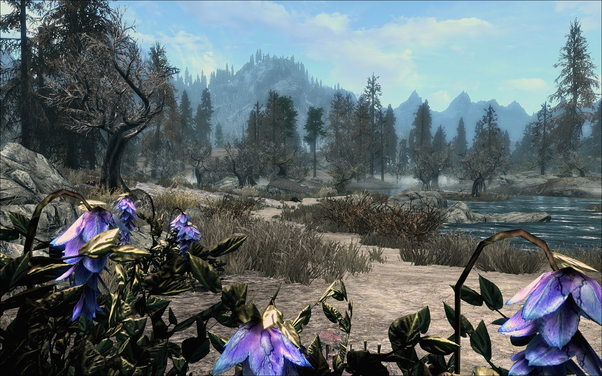 Skyrim_05_Natur
