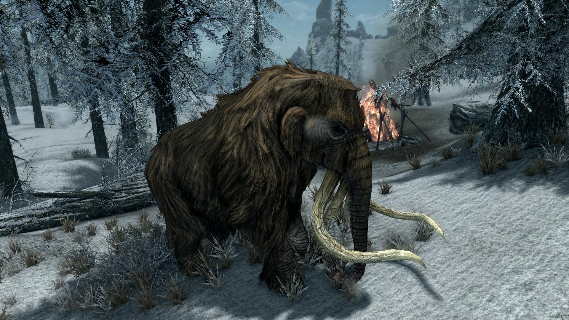 Skyrim_07_Tierwelt.jpg