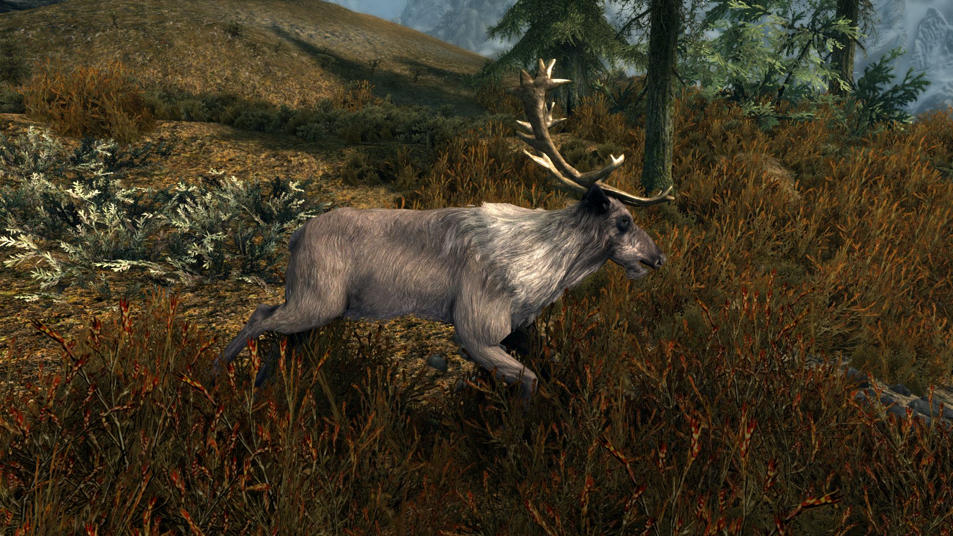 Skyrim_11_Tierwelt