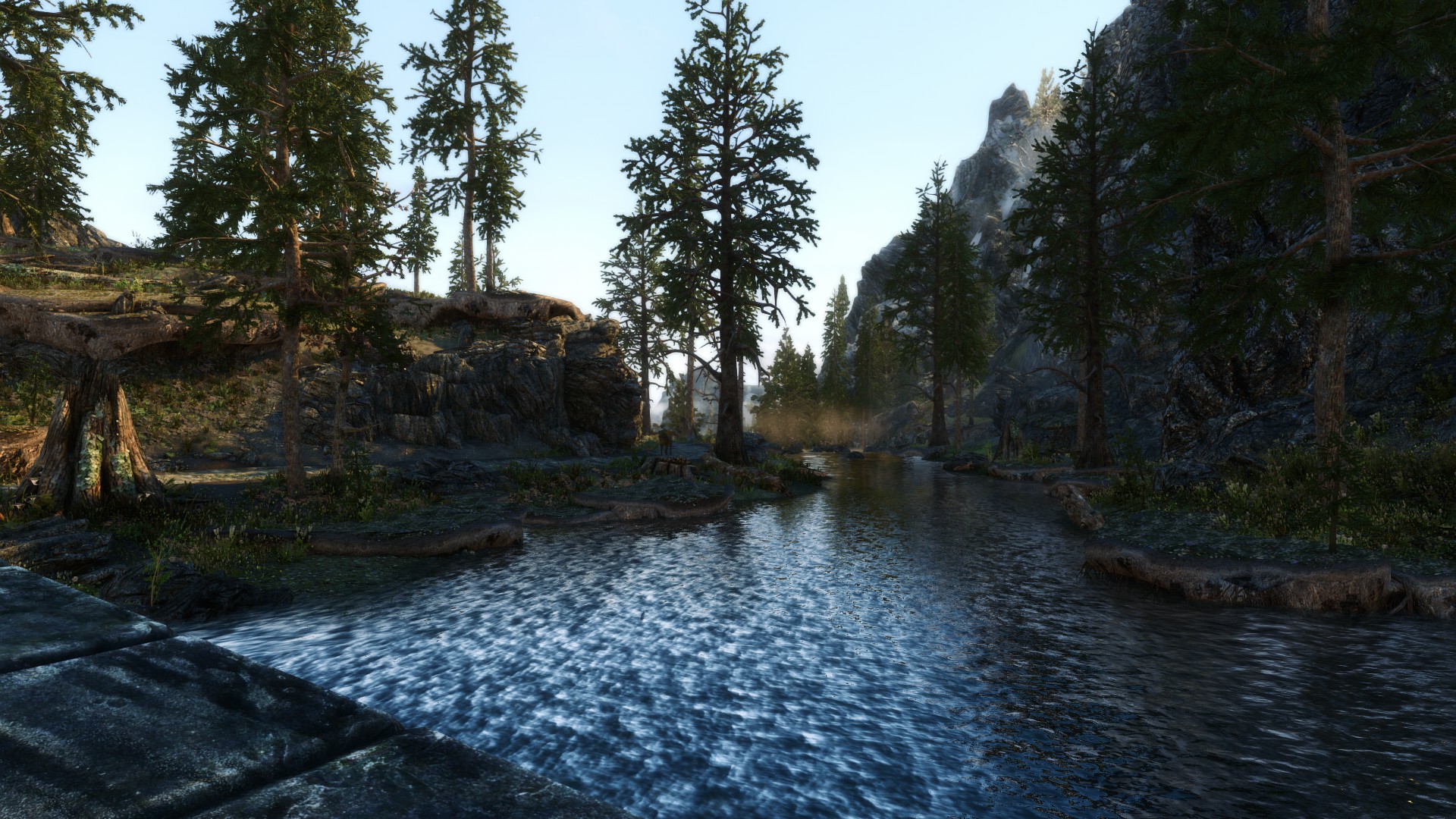 Skyrim_16_Natur