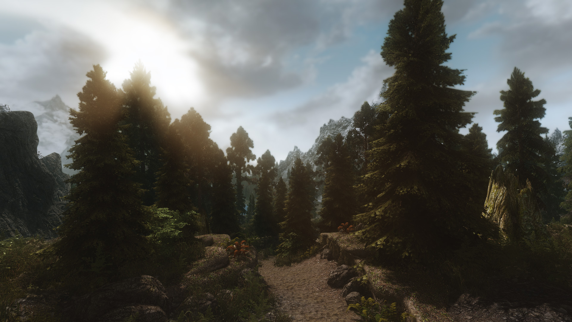 SSC2015 SR Panorama 16