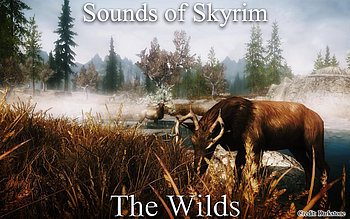 Sounds of Skyrim - The Wilds
