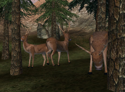 whitetails.jpg