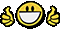 icon_thumbsup.gif