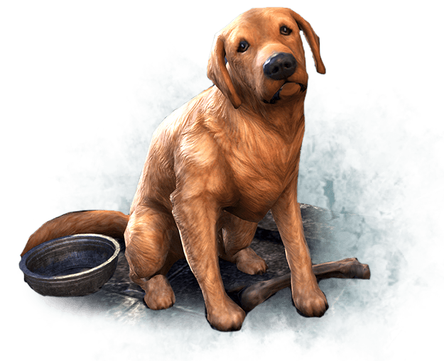 Datei:ESO Artwork Bravil-Apportierhund.png