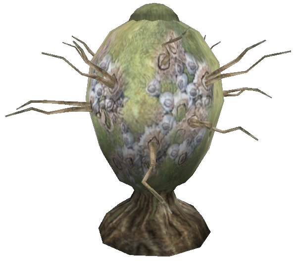 Datei:Dornenhaken Pflanze.png