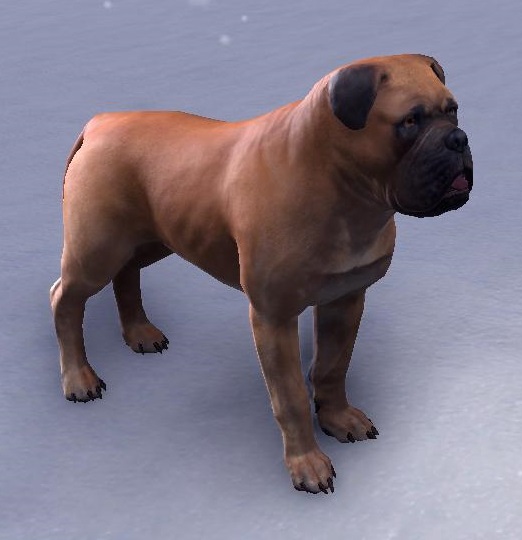 Datei:ESO Hellbrauner Morthal-Mastiff.jpg